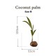 Botanical Sticker | Coconut